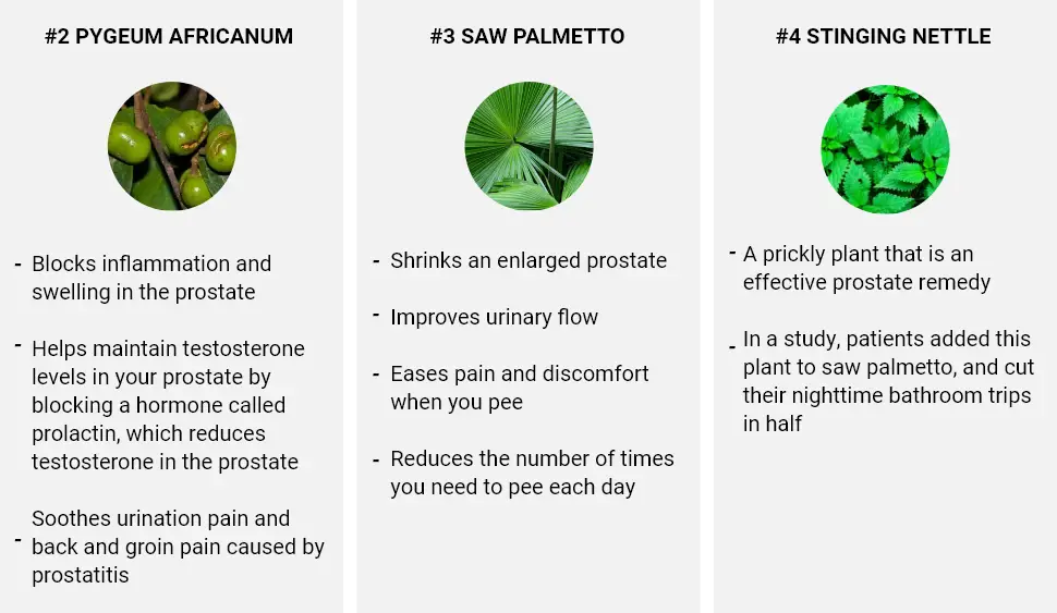 Advance Prostate Formula - Ingredients 2